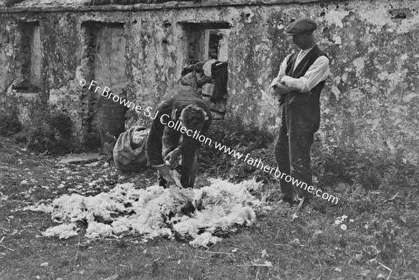 MAN SHEARING SHEEP